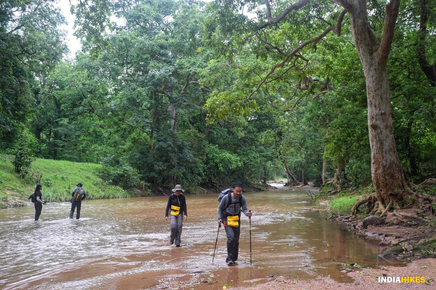 Trekking Adventures in Madhya Pradesh